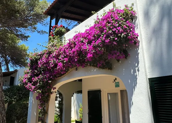 Apartment With Garden And Swimming And Beach